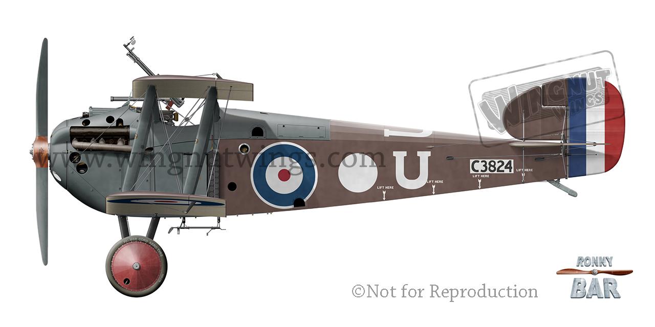 航空機・ヘリコプター Wingnut Wings Sopwith 5F.1 Dolphin 1/32 Wingnut Wings 1/32 Scale Sopwith 5F.1 Dolphin | eBay